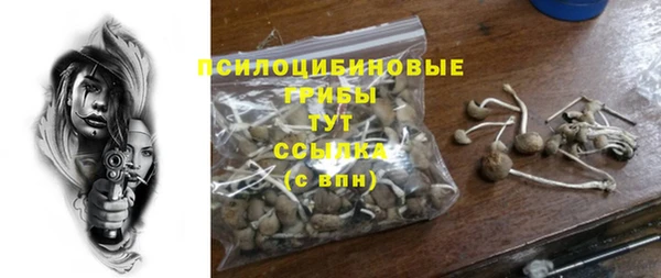 гидра Аркадак