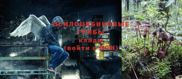 гидра Аркадак