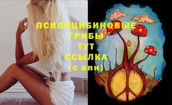 гидра Аркадак